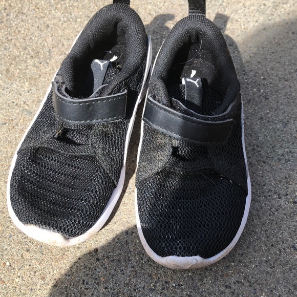 Black and white baby pumas - Picture 1 of 1